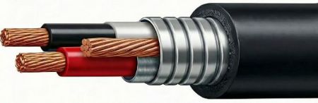Picture for category POWER WHIPS